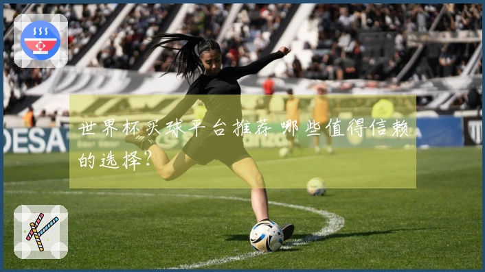 世界杯买球平台推荐 哪些值得信赖的选择？