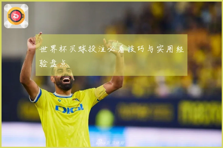 世界杯买球投注必看技巧与实用经验盘点