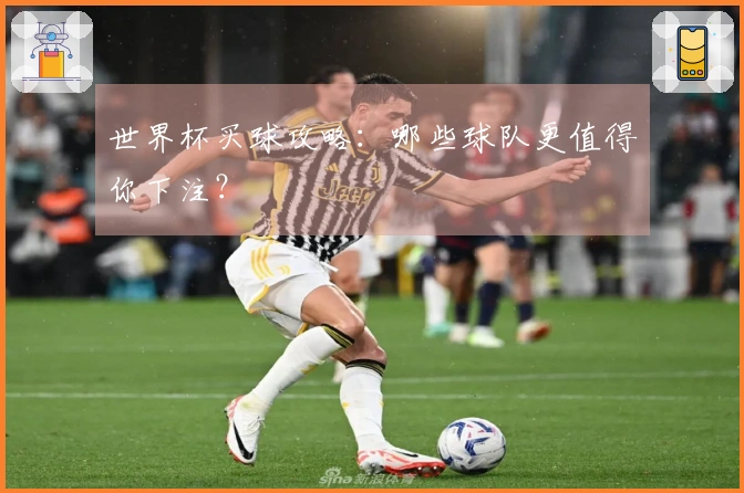 世界杯买球攻略：哪些球队更值得你下注？