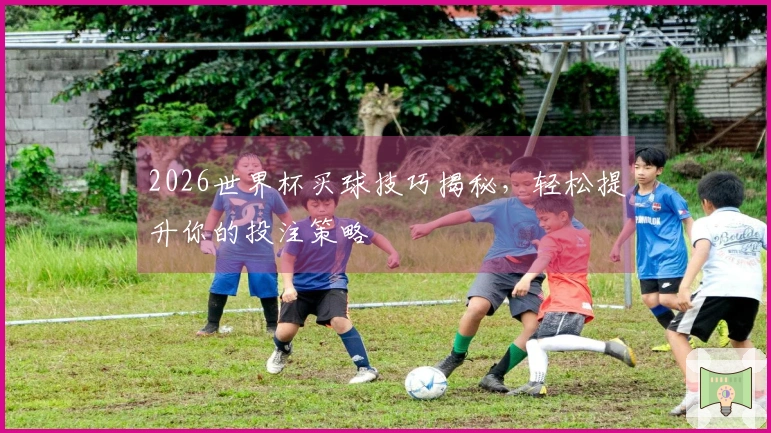 2026世界杯买球技巧揭秘，轻松提升你的投注策略