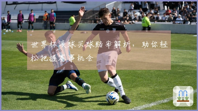 世界杯滚球买球赔率解析，助你轻松把握赛事机会