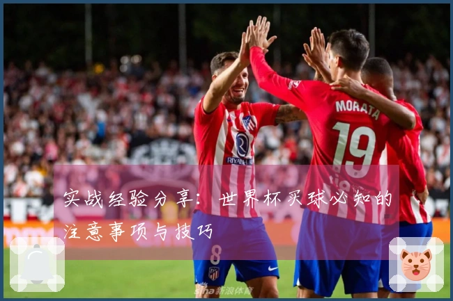 实战经验分享：世界杯买球必知的注意事项与技巧