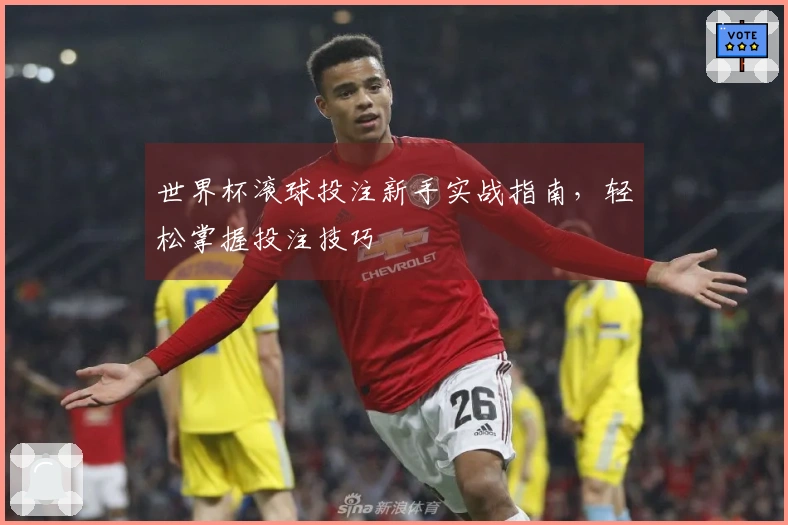 世界杯滚球投注新手实战指南，轻松掌握投注技巧