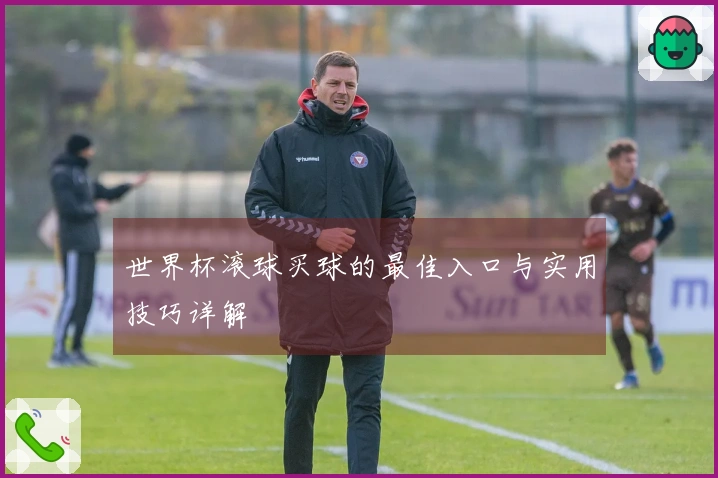世界杯滚球买球的最佳入口与实用技巧详解