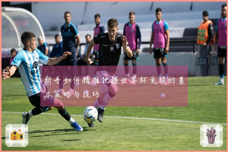新手如何精准把握世界杯竞猜的基本策略与技巧