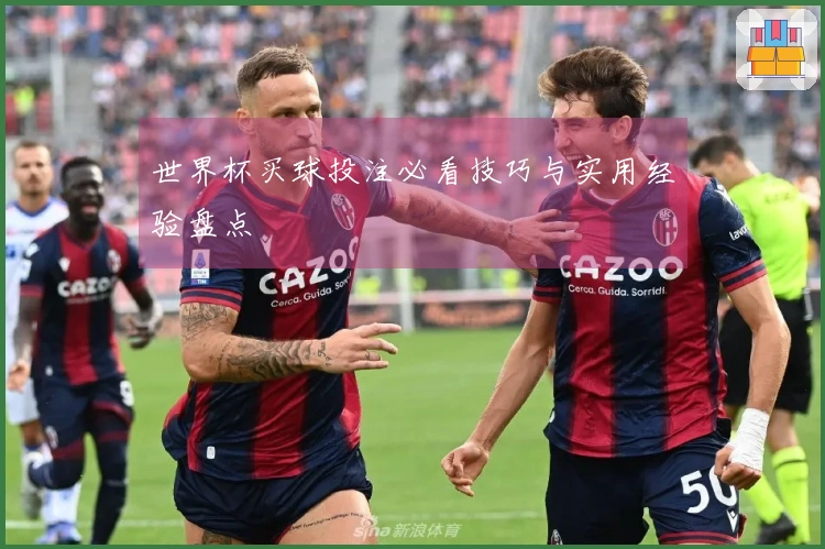 世界杯买球投注必看技巧与实用经验盘点