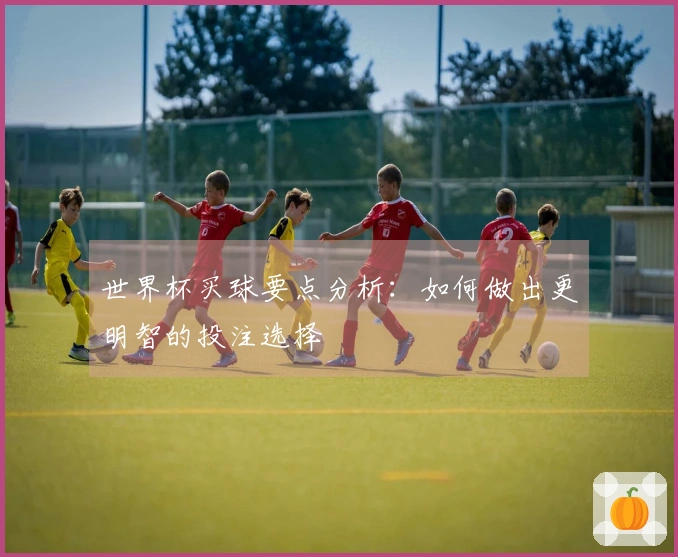 世界杯买球要点分析：如何做出更明智的投注选择