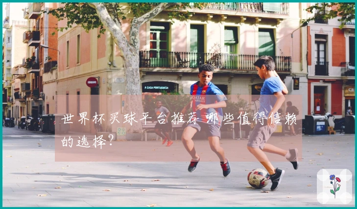 世界杯买球平台推荐 哪些值得信赖的选择？